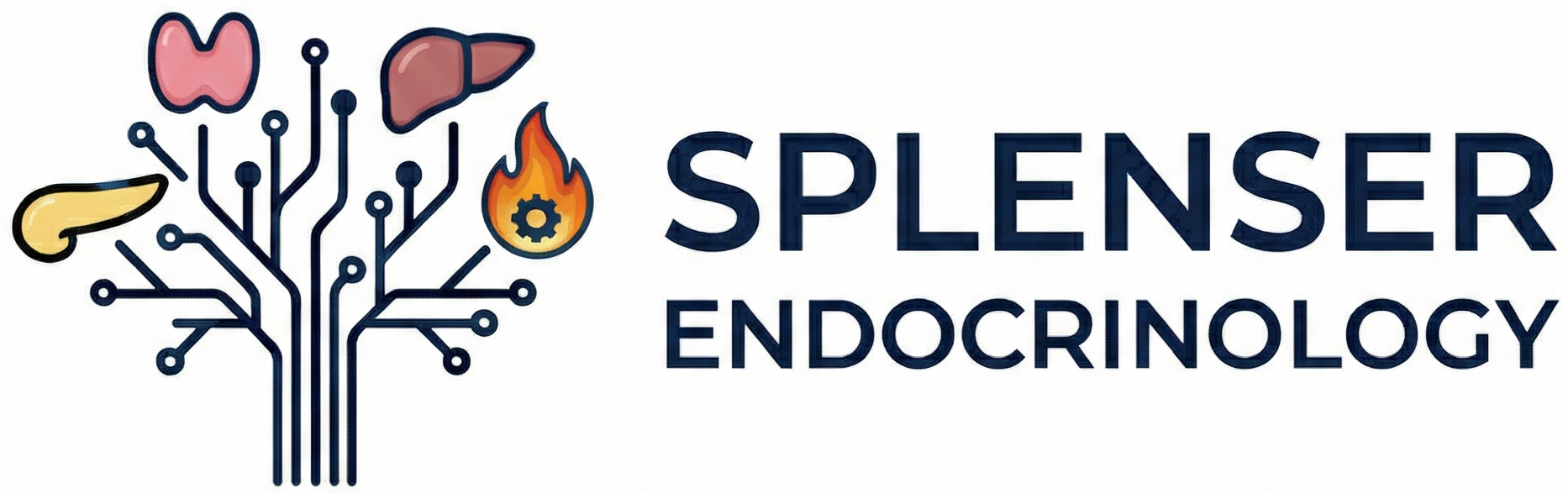 Splenser Endocrinology | Expert Diabetes & Thyroid Care in Houston